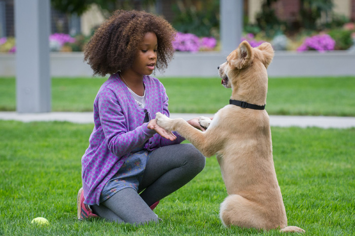 ����, �����.  �������� � ������: 3��������� � ������: 5