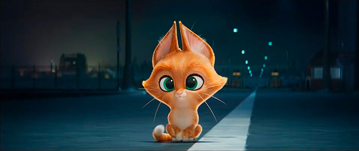 DC ���� ������������, �����.  �������� � ������: 2��������� � ������: 2