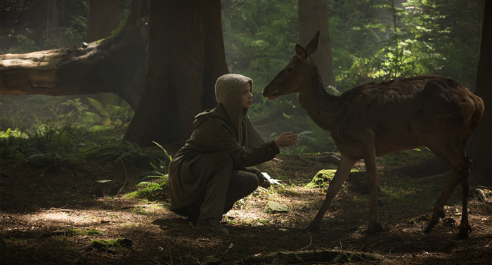 ������, �����.  �������� � ������: 2��������� � ������: 5