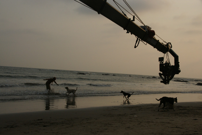 ������, �����.  �������� � ������: 1��������� � ������: 8