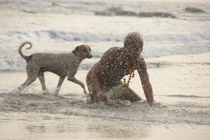 ������, �����.  �������� � ������: 1��������� � ������: 8