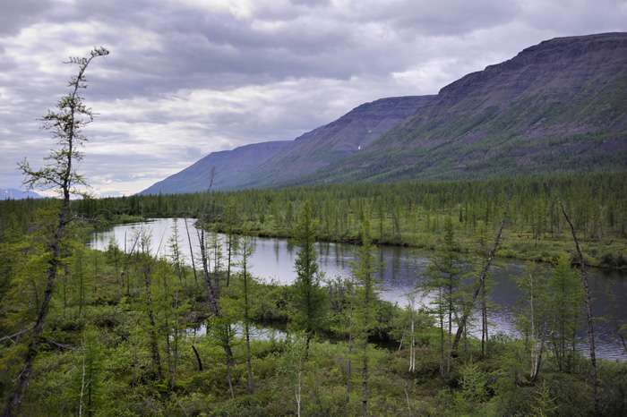 ����������, �����.  �������� � ������: 2��������� � ������: 2