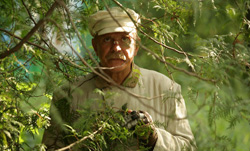   3: 